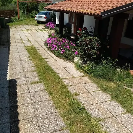 Mirko Apartmán Pula